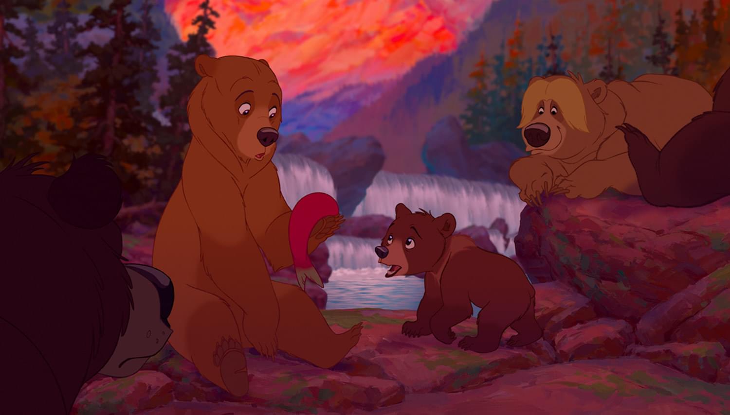 brother bear and